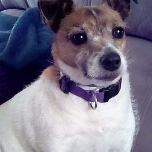 Meet your Posher, Pat